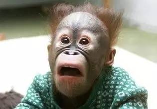 油条加明矾，米粉用陈化粮，粥用增稠剂，吃个早餐相当于服毒可致痴呆，南昌多家店被查，早饭该吃啥！