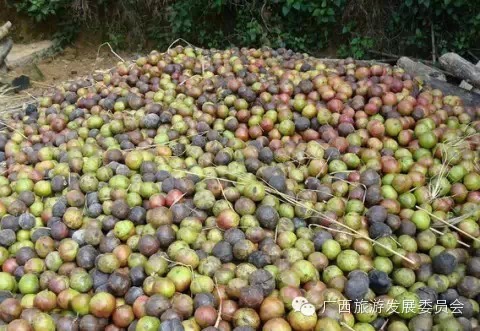 骄傲中国读完后的感悟,广西真的有这么牛吗