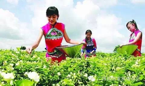 骄傲中国读完后的感悟,广西真的有这么牛吗