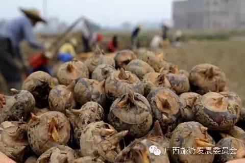 骄傲中国读完后的感悟,广西真的有这么牛吗