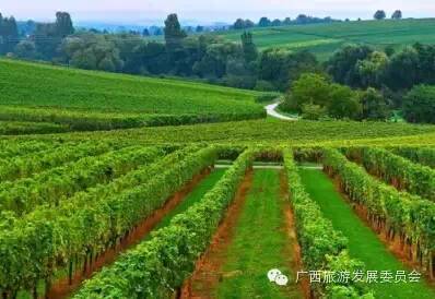 骄傲中国读完后的感悟,广西真的有这么牛吗