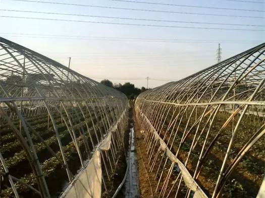 宁波鄞州农家乐排行榜,宁波鄞州区哪家农家乐好