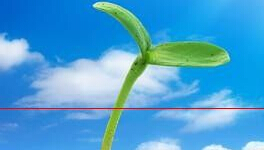 简历封面怎么做比较好,简历封面制作详细教程