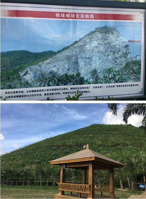 天涯网友感受“双修”“双城”惊人变化