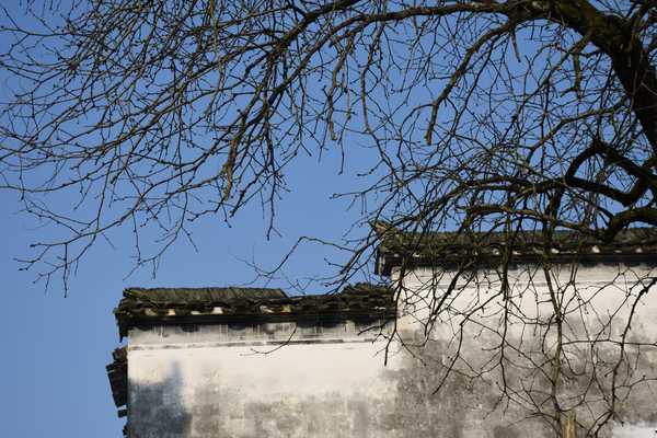 春天去婺源5天自驾游攻略,追随春的脚步