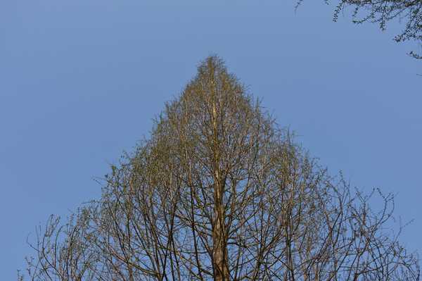 春天去婺源5天自驾游攻略,追随春的脚步