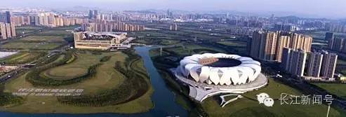 去不了杭州就来杯龙井,去不了杭州