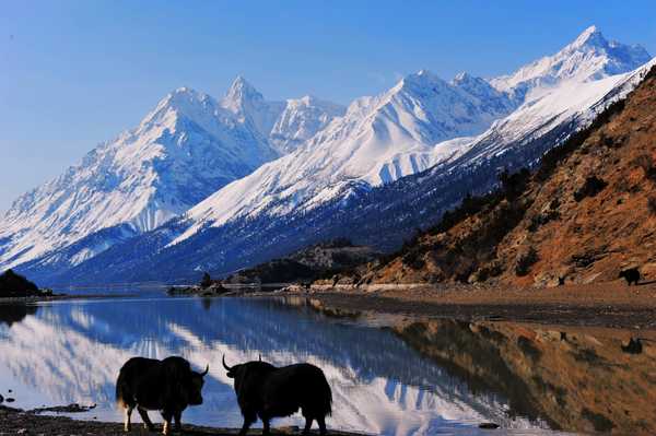 滇藏桃花源,滇藏桃花秘境