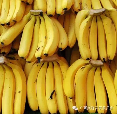 骄傲中国读完后的感悟,广西真的有这么牛吗