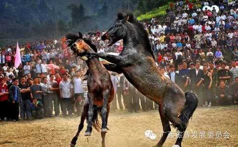 骄傲中国读完后的感悟,广西真的有这么牛吗