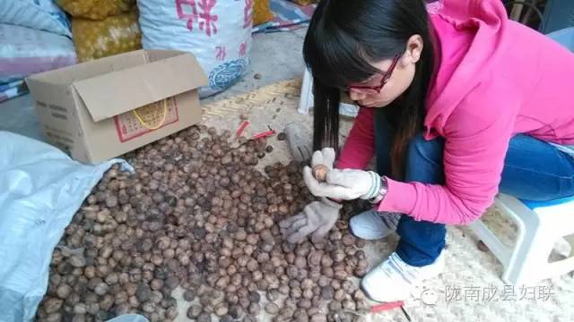 女村官的美丽梦想,女村官的美丽乡村梦