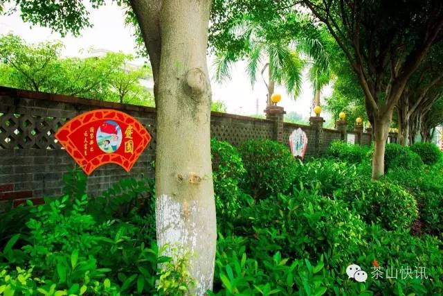 东莞整容的地方,东莞整容美容