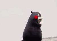 2022灞变笢鍚堟潙骞堕晣鍚嶅崟娣勫崥,2022灞变笢娣勫崥楂橀潚鍚堟潙骞堕晣鍚嶅崟