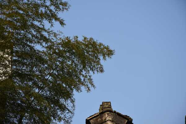 春天去婺源5天自驾游攻略,追随春的脚步