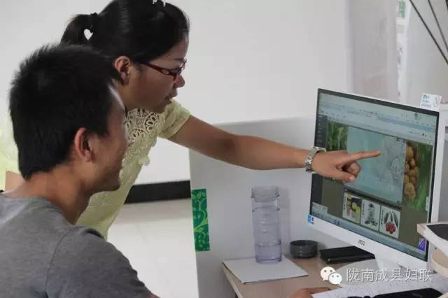 女村官的美丽梦想,女村官的美丽乡村梦