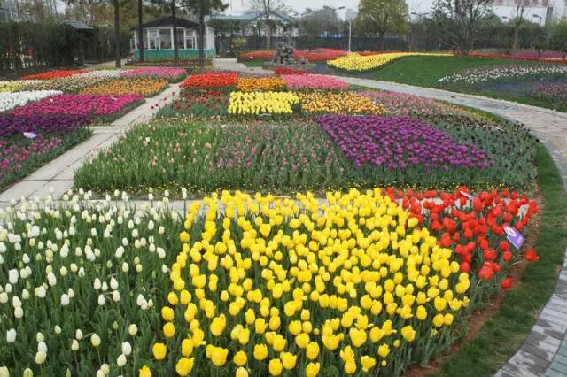 宁波鄞州农家乐排行榜,宁波鄞州区哪家农家乐好