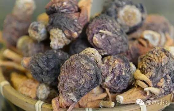 石斛为啥跌下神坛,石斛滞销