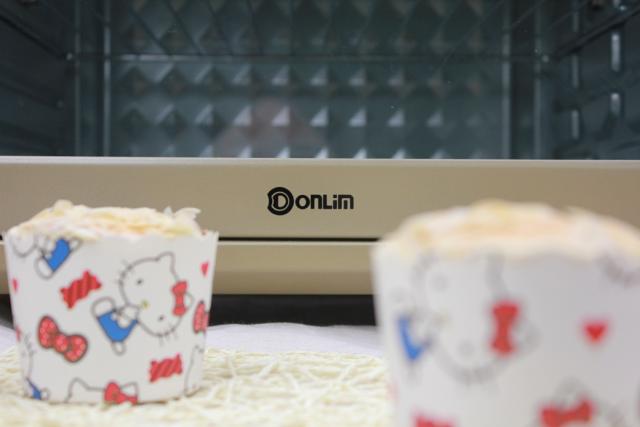 东菱老式烤箱12升怎么使用,东菱电烤箱610