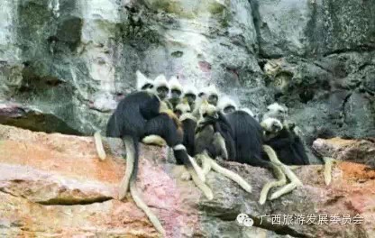 骄傲中国读完后的感悟,广西真的有这么牛吗