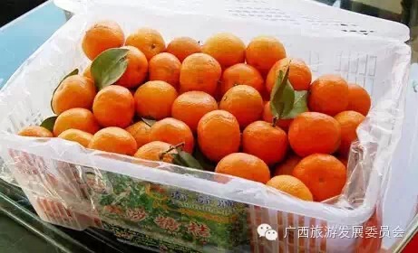 骄傲中国读完后的感悟,广西真的有这么牛吗