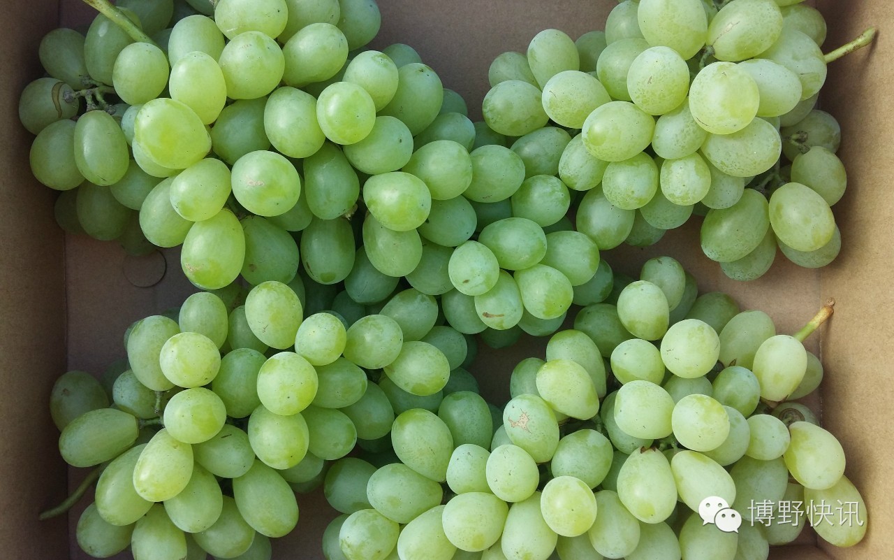 26个英文字母,带你绕着博野走一圈!