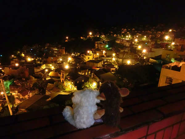 6月台湾毕业记~雨季也有好心晴