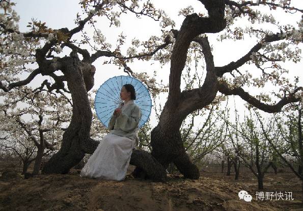 26个英文字母,带你绕着博野走一圈!