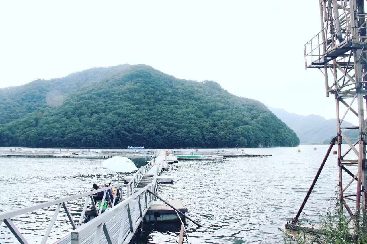 离沈阳45公里，竟隐藏着一种绝世美味！秒杀河豚大闸蟹！外地人都吃疯了，沈阳人还不知道！