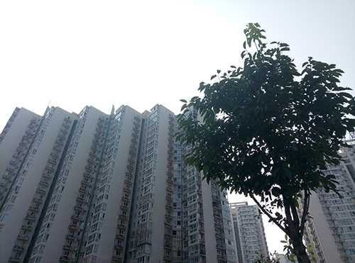 千元机魅蓝note5,360n4和红米