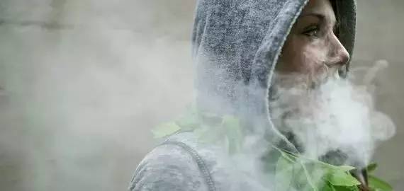 史上第一!加拿大推出买*麻大**专用APP!*麻大**是加国人民的真爱