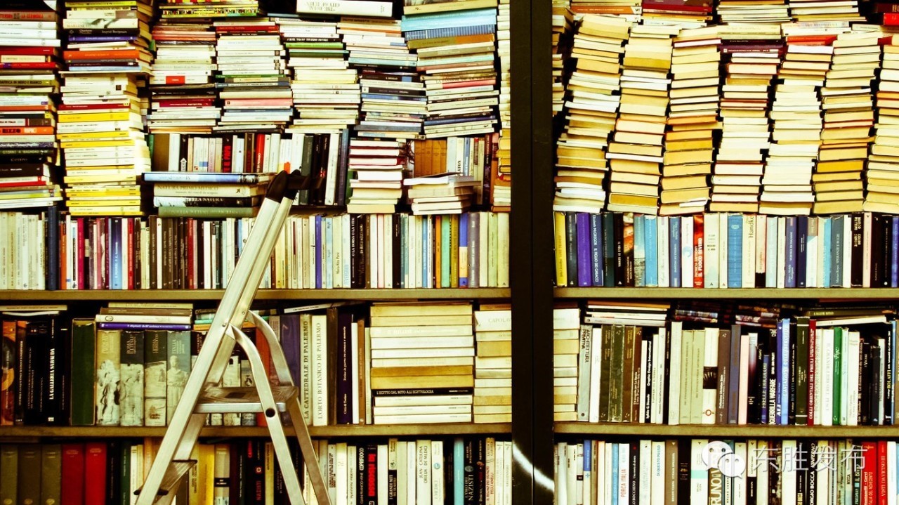 这么多东胜人会写书评，也许你会从中发现又一个“可好女女”