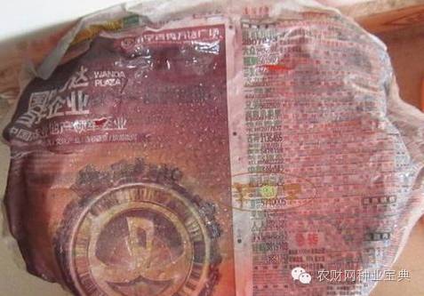 在家用水桶种菜小妙招,如何用水桶栽无土蔬菜