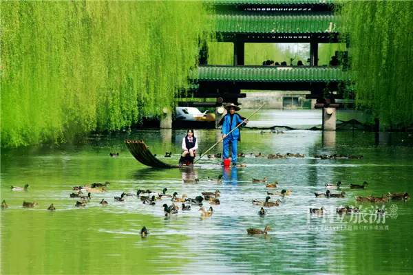 宁波鄞州农家乐排行榜,宁波鄞州区哪家农家乐好