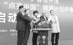 伊春市森林食品有限公司,伊春森林食品店