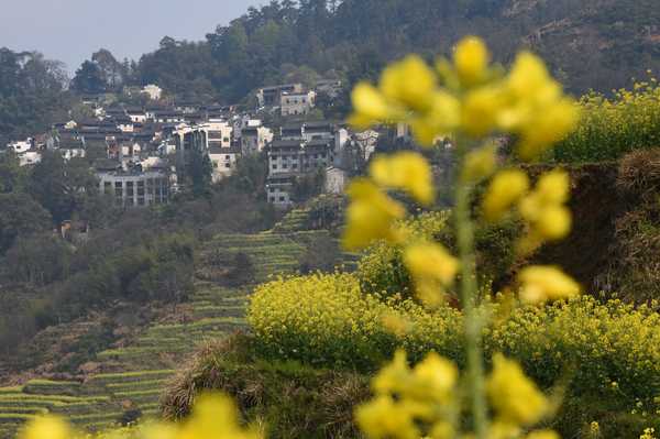 春天去婺源5天自驾游攻略,追随春的脚步