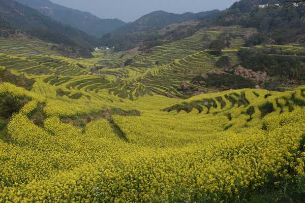 春天去婺源5天自驾游攻略,追随春的脚步