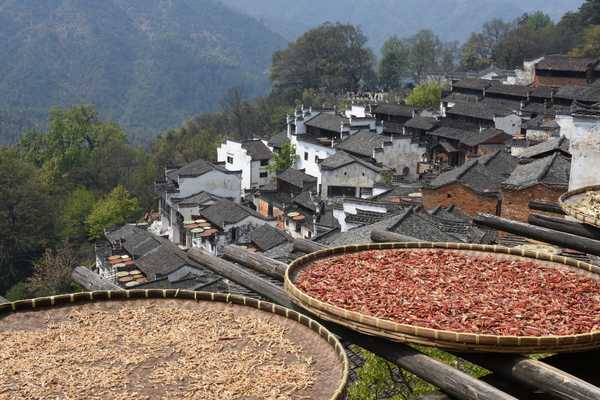 春天去婺源5天自驾游攻略,追随春的脚步