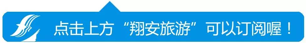 美爆了!台风过后,那些残根断枝竟然这么有用!赶紧学起来...