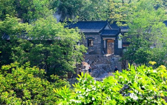 2022灞变笢鍚堟潙骞堕晣鍚嶅崟娣勫崥,2022灞变笢娣勫崥楂橀潚鍚堟潙骞堕晣鍚嶅崟