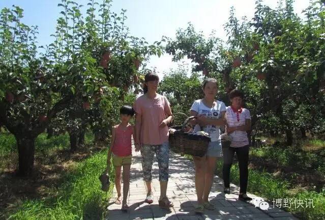 26个英文字母,带你绕着博野走一圈!