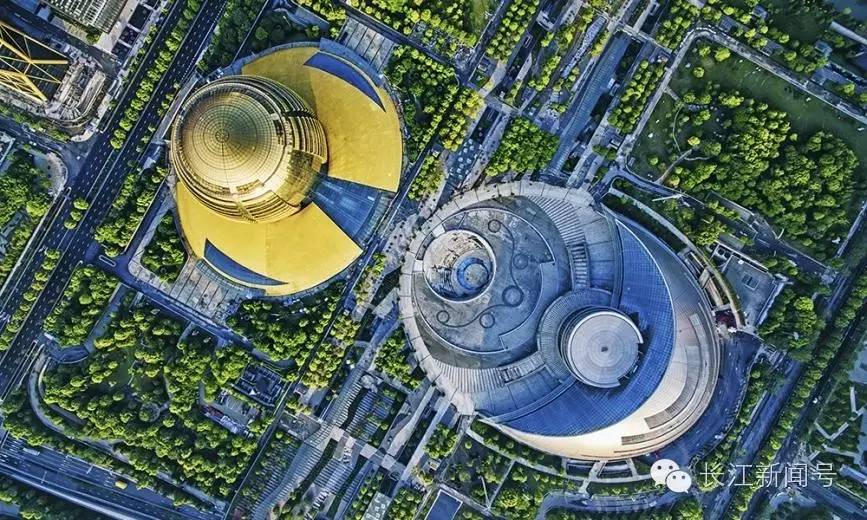 去不了杭州就来杯龙井,去不了杭州