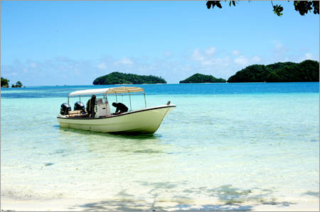 别去马代了，让我们到帕劳看看（帕劳旅游攻略）