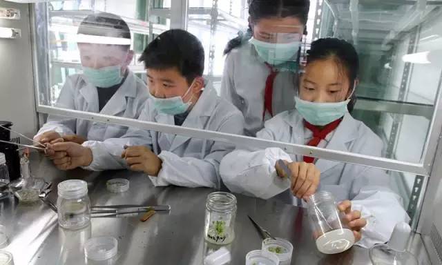 g20教育峰会,杭州峰会g20开幕式塔沟武校