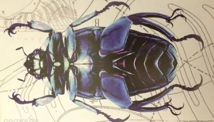 喷泡真的好吗,科普一下喷泡