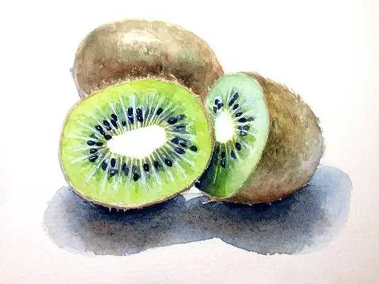 成都金堂猕猴桃,成都猕猴桃