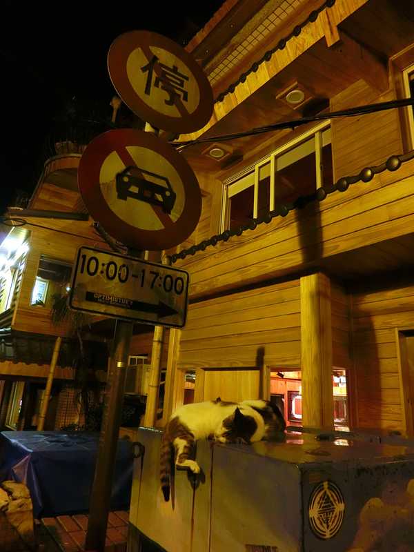 6月台湾毕业记~雨季也有好心晴