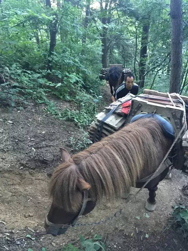 中国最后的神秘村,中国几大隐士隐居地方