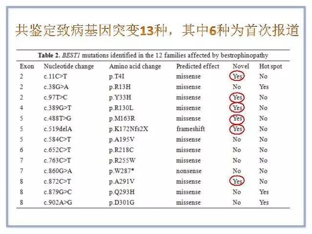 CCOS2016眼底陈有信教授：Best病及基因型与表现型研究