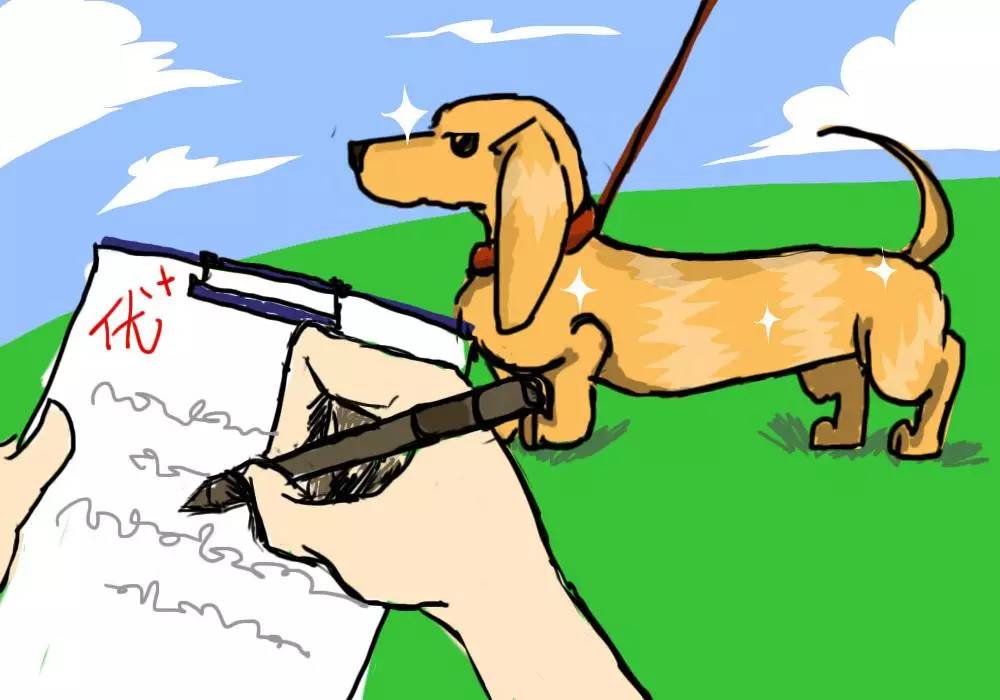 家里毛毛怎么彻底清除,家里毛毛比较多怎么才能拖干净