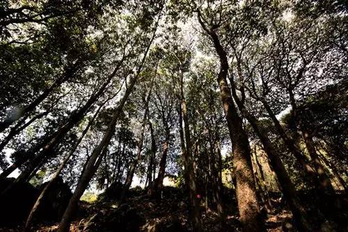 十堰旅游一卡通免费攻略,十堰旅游一卡通能在哪里办理